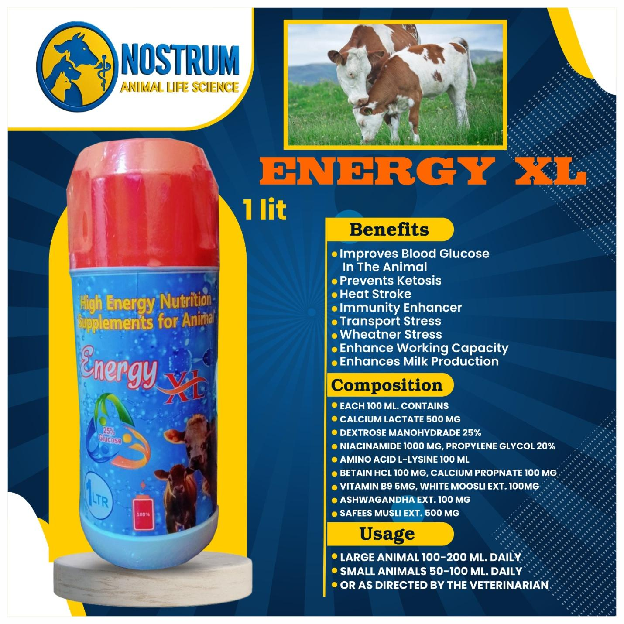 ENERGY XL image