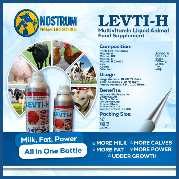 LEVTI-H image