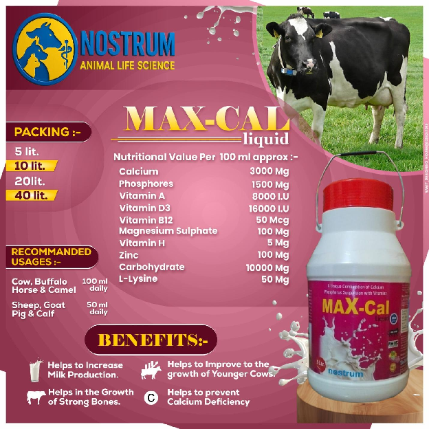 MAX CAL image