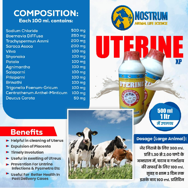 Uterine image